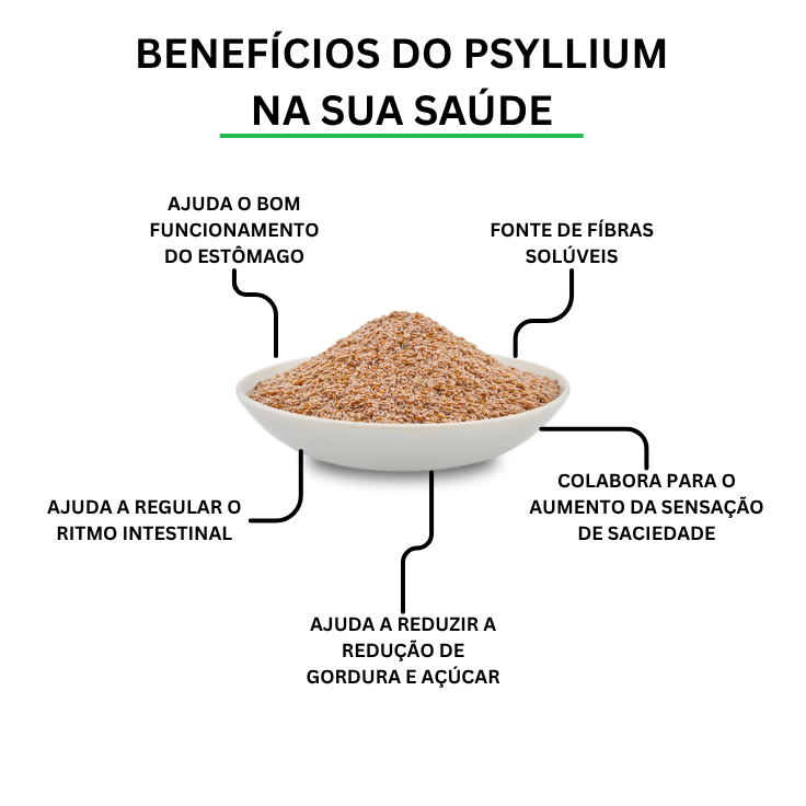 Psyllium em Pó 100% Puro e Natural 200g